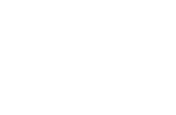 logo-esser